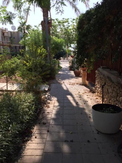 הבית של דרורי Neve Zohar Esterno foto